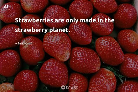 80 Strawberry Quotes To Freshen And Sweeten Your Day 2022