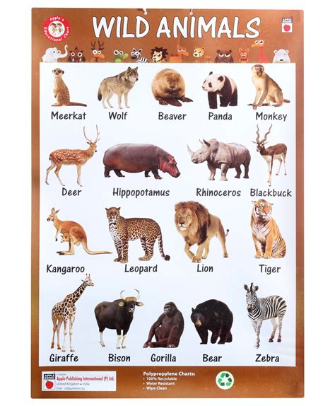 Wild Animals Pictures With Names In English Lummy Animal Wallpapers