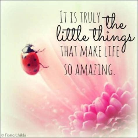See more ideas about miraculous ladybug, miraculous ladybug wallpaper, ladybug wallpaper. Ladybug Sayings Quotes. QuotesGram