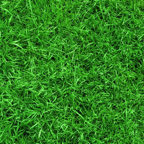 Green football field grass background. Monroe County Vector Control Archives - All Mountain Pest ...
