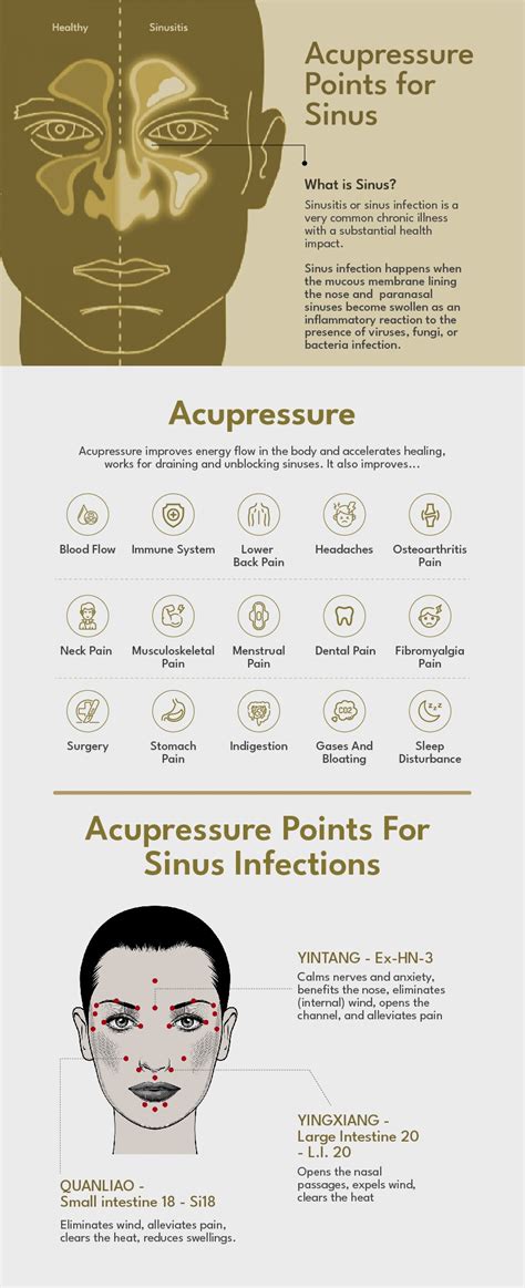 Acupressure Points For Sinus Relief Step By Step Guide