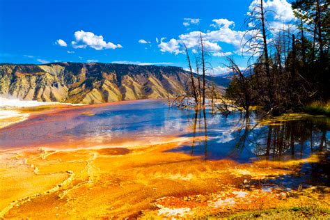 193 viewswaterfall, stream, stones, fern leaves. Yellowstone National Park HD Wallpapers