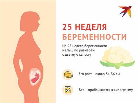 25 неделя беременности диета 25 неделя беременности от зачатия: УЗИ плода, фото живота, что 25 неделя беременности от зачатия: УЗИ плода, фото живота, что 25 неделя беременности диета