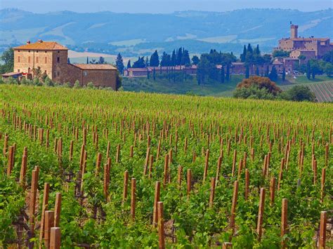 Wine Tasting At Tuscanys Best Wineries Condé Nast Traveler
