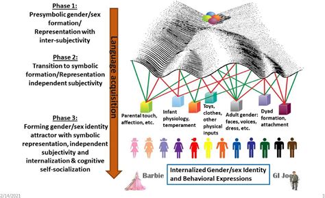 frontiers a dynamic systems framework for gender sex development from sensory input in