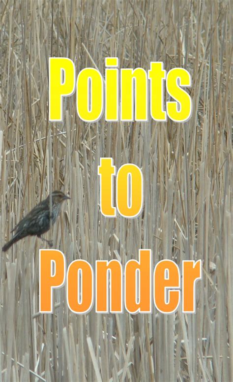 Points to ponder is a compilation of short stories of situations which may occur in our lives to give the reader something to think about in their own life. Points to Ponder | Islam Ahmadiyya