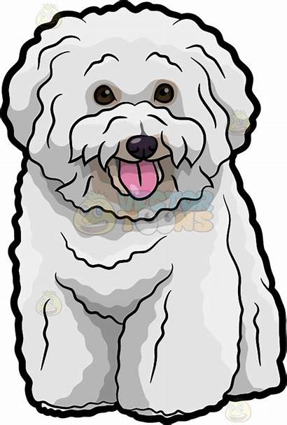 Bichon Frise Clipart Dog Cartoon Pet Clipground