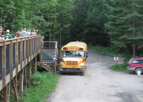 Minnesota Is Home To The Worlds Largest Black Bear Sanctuary And You