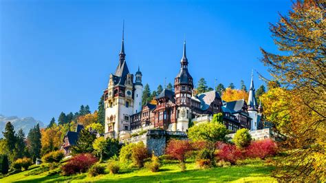 Bran Castle Musement