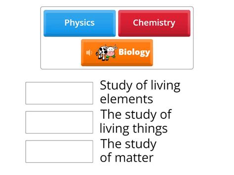 Branches Of Science Match Up