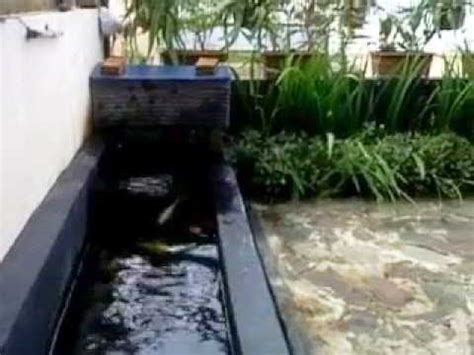 Desain Kolam Ikan Koi Sederhana - InfoAkuakultur.com