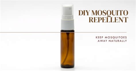 Diy Homemade Mosquito Repellent Spray Natural Protection Against Pesk