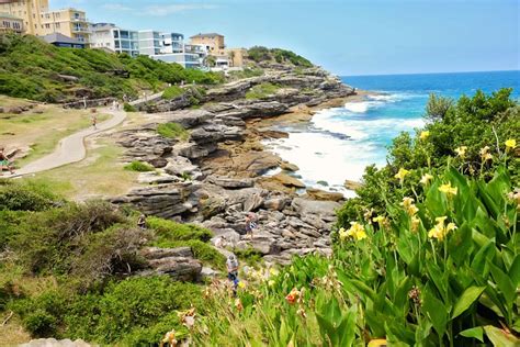 Bondi To Coogee Walk One Of The Best Sydney Coastal Walks