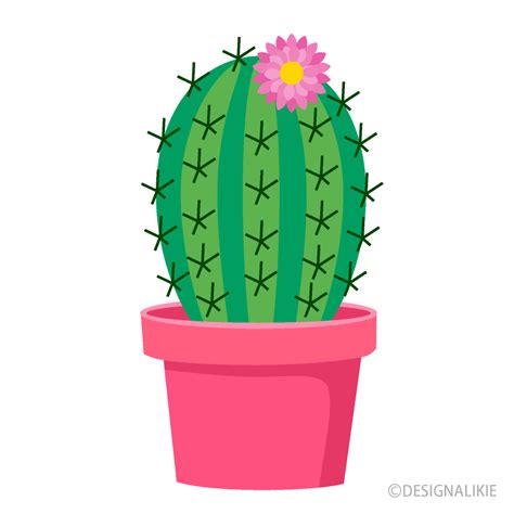 Flower Cactus Clip Art Free Png Image｜illustoon