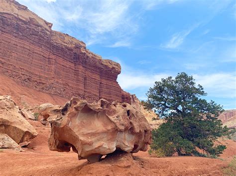Capitol Reef National Park In 10 Photos