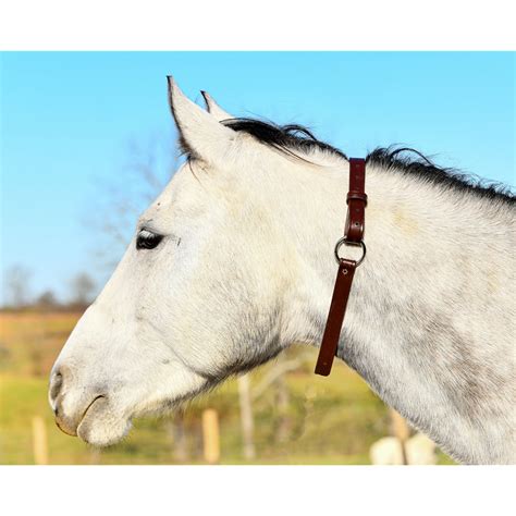 Two Horse Tack - **Better Than Leather** Adjustable Neck Collar made