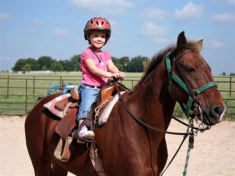 Horse Riding Tips For Children Pet Shops Guide Blog