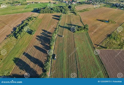 Aerial View On Harvester During Crops On Wheat Field Stock Image