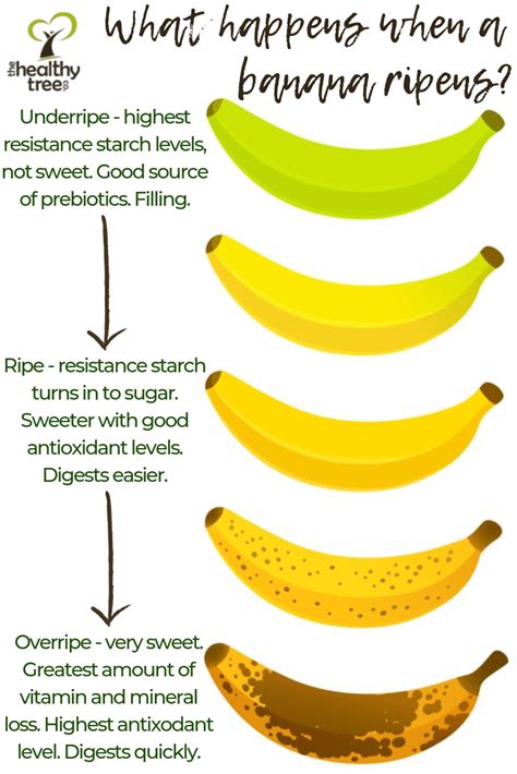 What Happens When A Banana Ripens Fruit Health Benefits Food Health