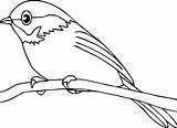 Robin Bird Coloring Getdrawings Drawing sketch template