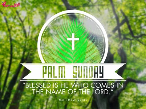 Use these inspiring palm sunday scriptures to understand why palm sunday and easter are luckily, we've compiled the best quotes from scripture right here so that you can have them at the. Palm-Sunday-Holy-Week-Best-Wishes-Quote-Image1 - St ...