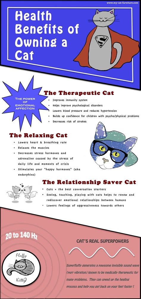 Health Benefits Of Owning A Cat Infographic Owning A Cat Pet Care