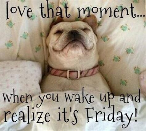 Maybe you would like to learn more about one of these? Funny Friday | Its friday quotes, Friday jokes, Friday humor