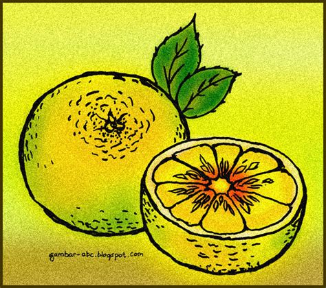 Mewarnai gambar buah semangka mewarnai gambar via kumpulan gambar sketsa buah buahan berwarna. Mewarnai Buah Jeruk - Contoh Gambar Mewarnai