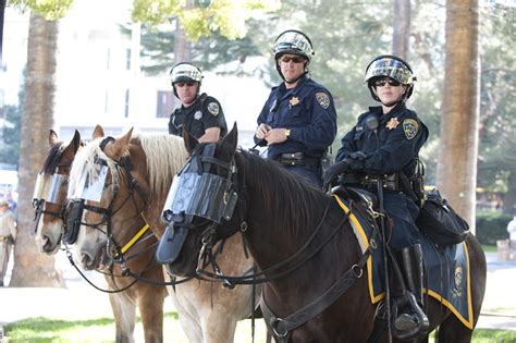 Chp Mounted Patrol Unit Selected To Participate In Rose Parade Vvng