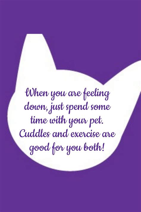 Best Dog And Cat Quotes Wet Noses Pet Sitting Dog And Cat Quotes
