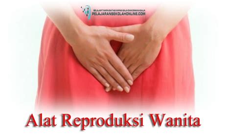 Alat Reproduksi Pria Dan Wanita Beserta Fungsinya Reproduksi Dijaga Kesehatan Menghasilkan