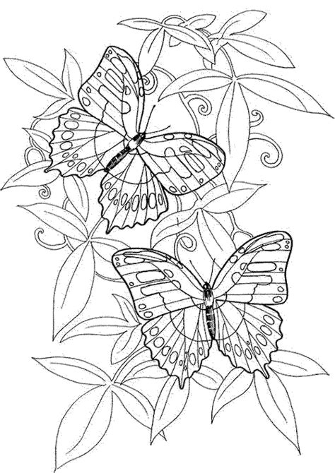 Free Printable Butterfly Coloring Pages For Adults
