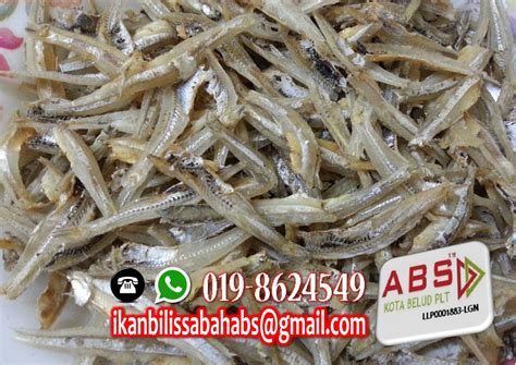 Once, i announced to my family that i'll make ikan bilis powder to flavour congee on busy days; Kebaikan dan Khasiat Ikan Bilis | Ikan Bilis Sabah ...
