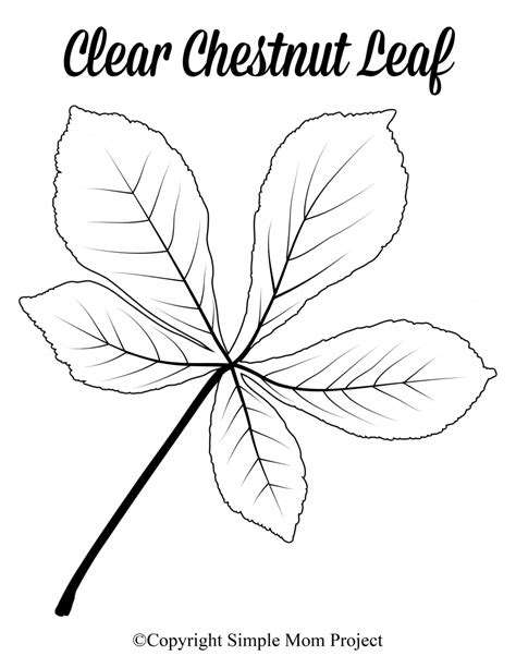 Leaf Template With Lines Addictionary