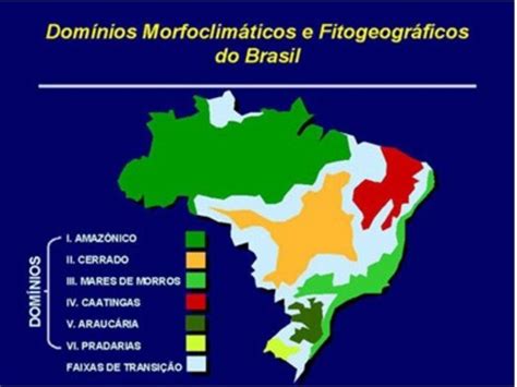 Brasil Ibge X Complexos Regionais