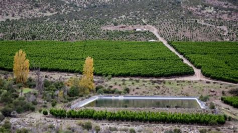 Agricultores protestaron en petorca por la sequía, denunciando situaciones irregulares de extracción. El Ciudadano | Sequía: Alcalde de Petorca pide prohibir ...