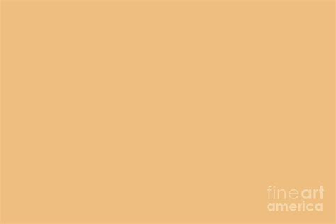 Dunn Edwards 2019 Trending Colors Apricot Appeal Pastel