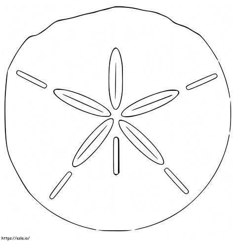 Sand Dollar 1 Coloring Page