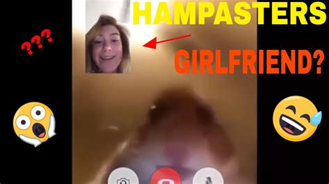 Hamster Facetime Meme Compilation Part2 Try Not To Laugh I Dare You