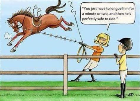 Pin By Lucy Pevensie On Ways Of The Horse Horse Jokes Funny Horse