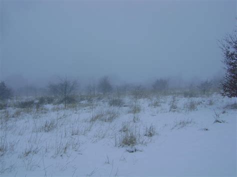 Snowy Fields Fog 72 By Dark Dragon Stock On Deviantart