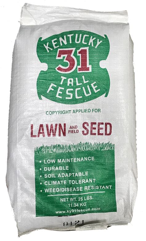 Tri Star Seed 25lb 25 Pound Kentucky 31 Tall Fescue Grass Seed At