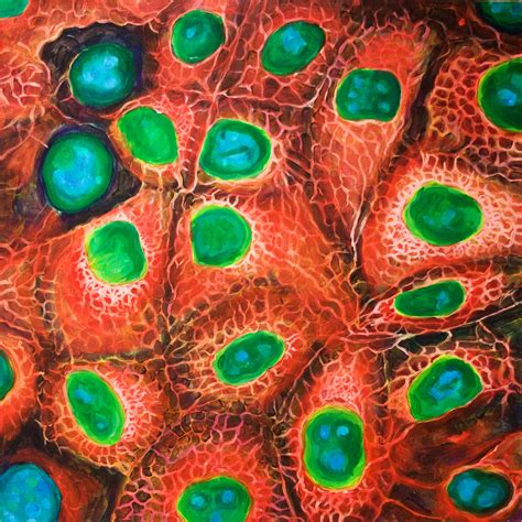 Janice Aitken Art Paintings Based On Microscope Images Of Stem Cells