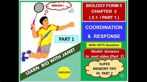 Download textbook kssm biology form 4 (dlp) pdf for free. Biology Form 5 SPM Chapter 3 (3.1) Part 1 Coordination and ...