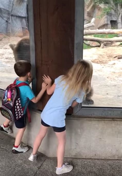 Young Lady Plays Pee A Boo With Bear
