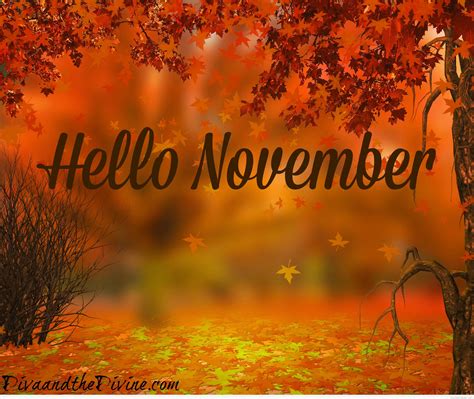 Hello November Pictures Hello November Birthday Month