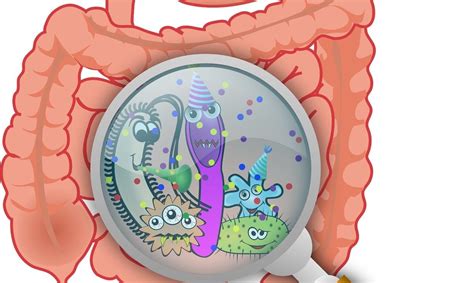 Researchers Get Important Glimpse Into Microbiome Development In Early Life