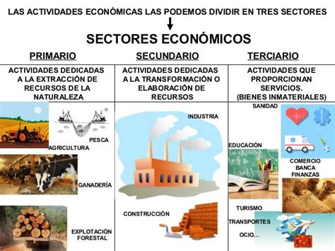 Sectores Económicos Terciarización