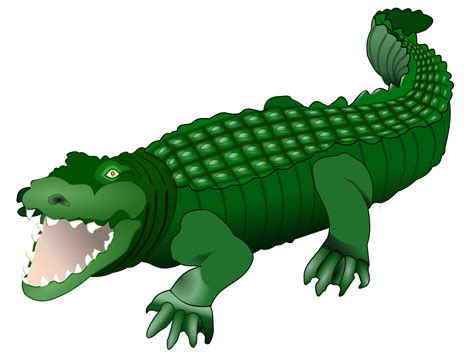 Animals Crocodile Clipart 20 Free Cliparts Download Images On