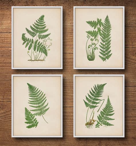 Botanical Print Set Of 4 Fern Prints Botanical Etsy